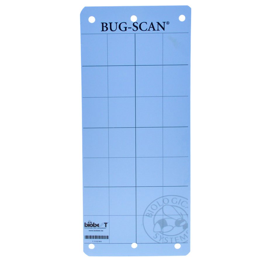 Bug-Scan Blue Sticky Traps
