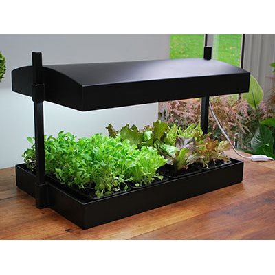 SunBlaster T5HO Growlight Garden