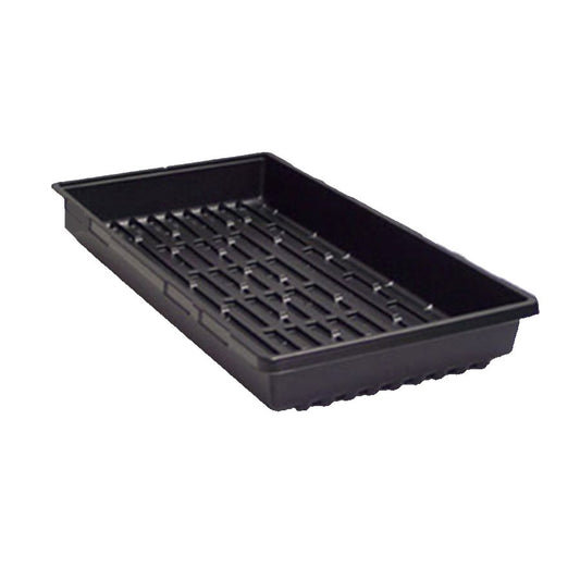 Econo Black Seedling Tray without Holes (x5)