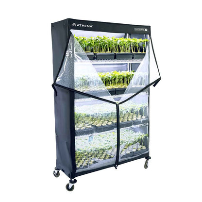Athena VPDome 48'' x 72'' x 18''