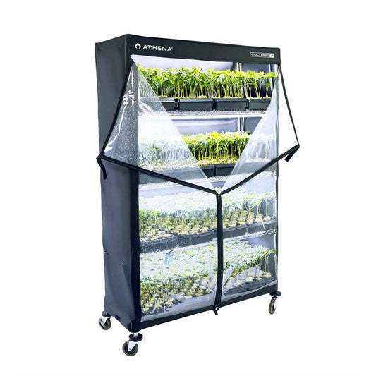 Athena VPDome 48'' x 72'' x 18''